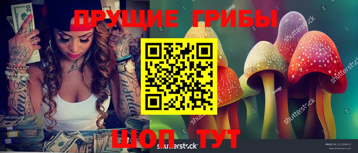 Ростов-на-Дону  Галлюциногенные грибы прущие грибы  Вход с VPN 