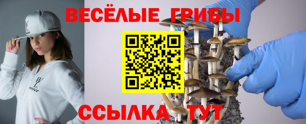 Галлюциногенные грибы прущие грибы Ростов-на-Дону